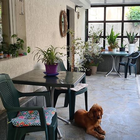Guest House Panda Kutaisi Exterior photo