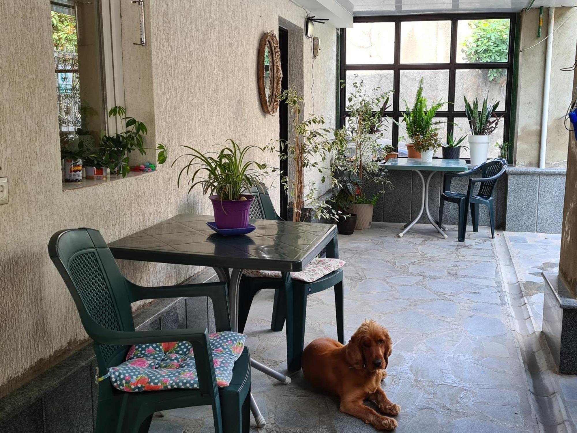 Guest House Panda Kutaisi Exterior photo